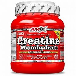 Amix Nutrition Creatine monohydrate, powder, 500 g